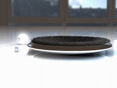δеĕrɳl