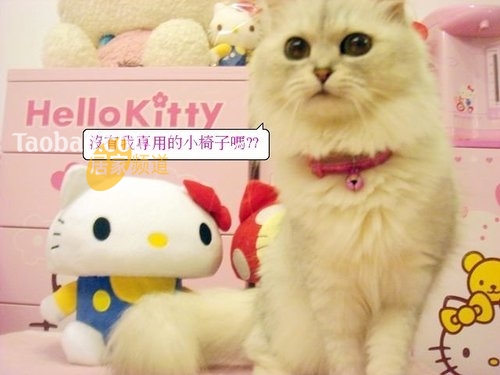 ɐ(i)HelloKittyĥ