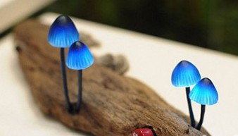 LED䘶ϵСĢ