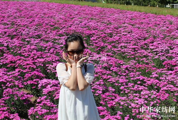 Ҽ푡ڲ󣬑ϱ