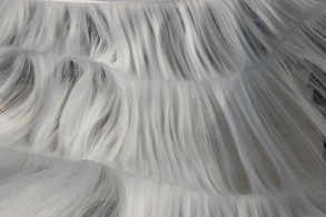 金蠶世家受邀出席世界養生大會