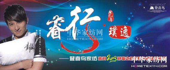 ϲB2013ƷlӆT