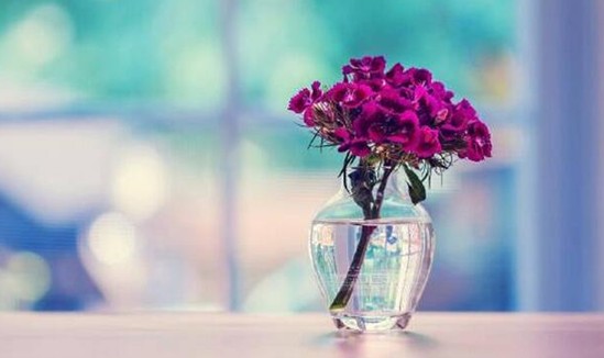 _mҼz˲gỬڻ